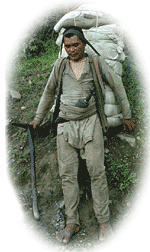 traditional porter