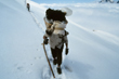 Porters in snow at high altitude, Paul Deegan, UK